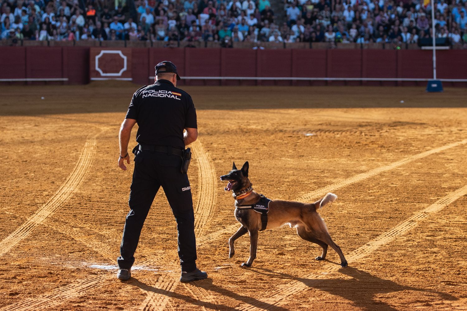 Demostración de operativas de la Policía Nacional en la Maestranza de Sevilla