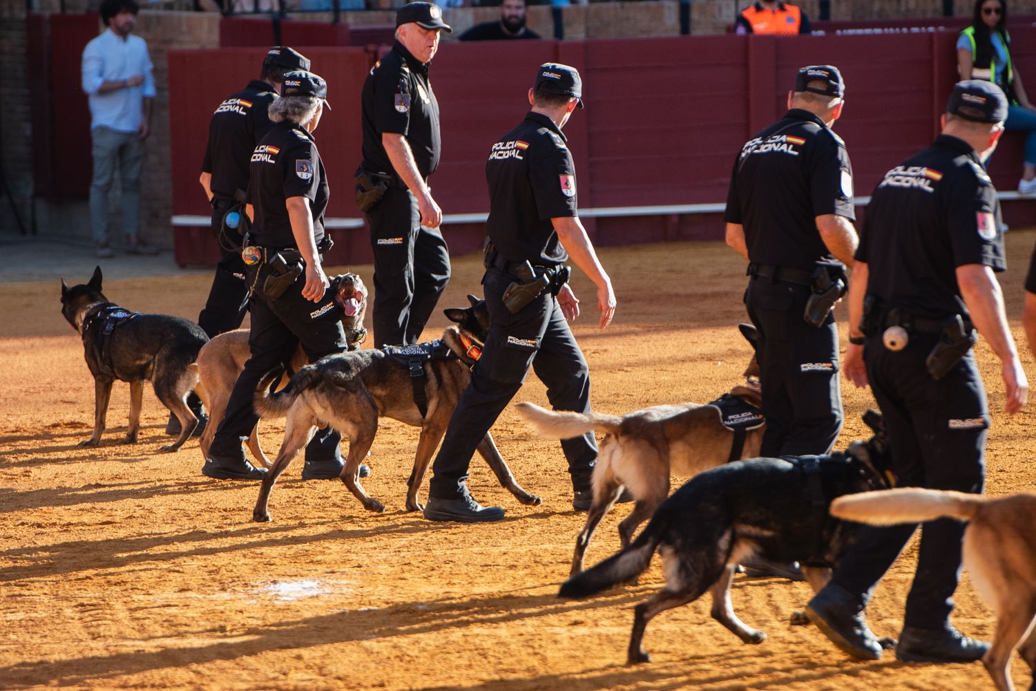 Demostración de operativas de la Policía Nacional en la Maestranza de Sevilla