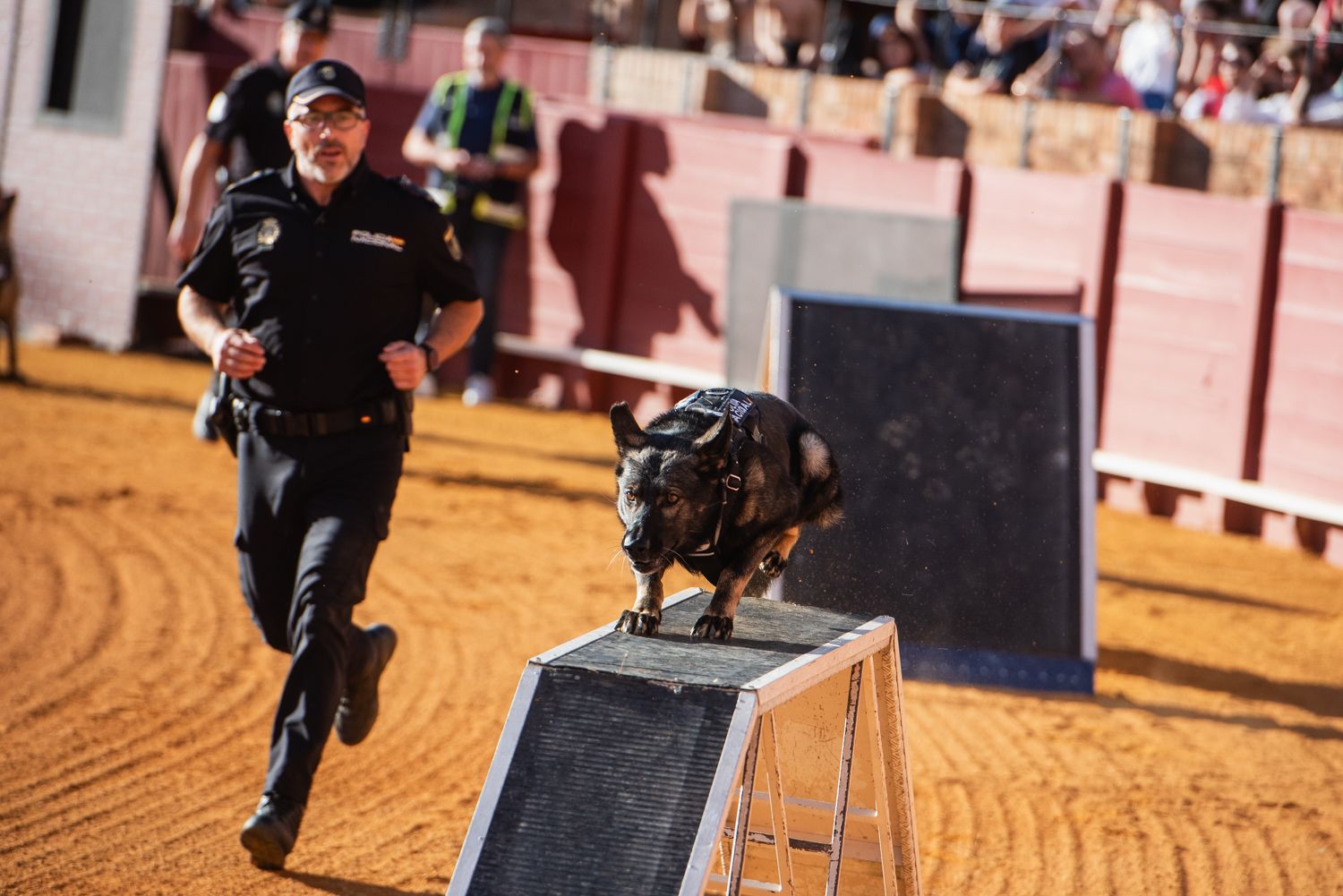 Demostración de operativas de la Policía Nacional en la Maestranza de Sevilla