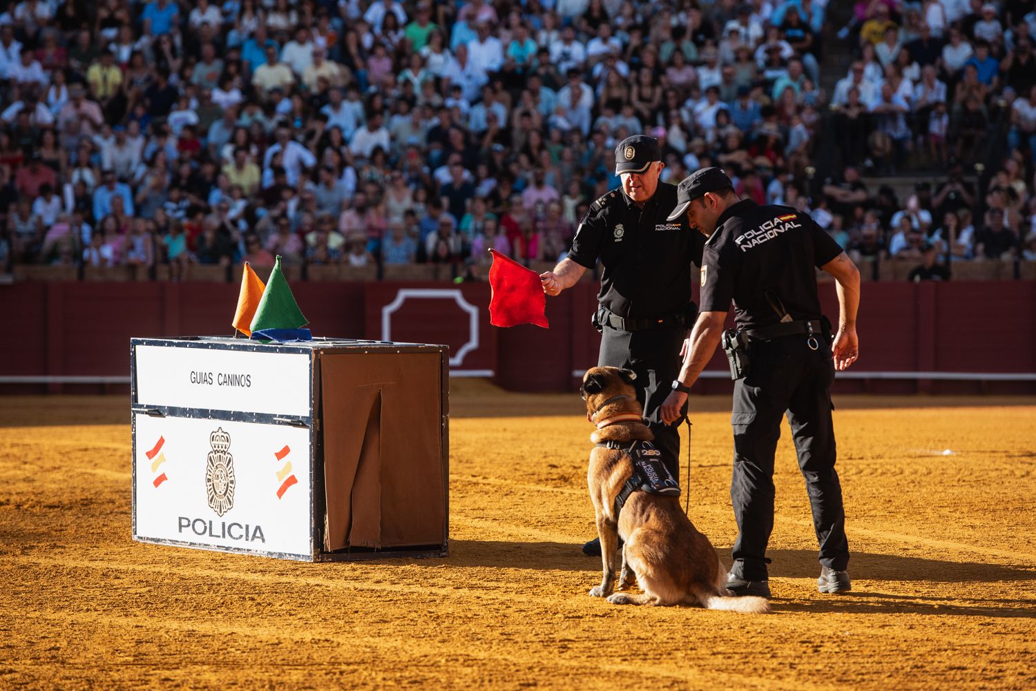 Demostración de operativas de la Policía Nacional en la Maestranza de Sevilla