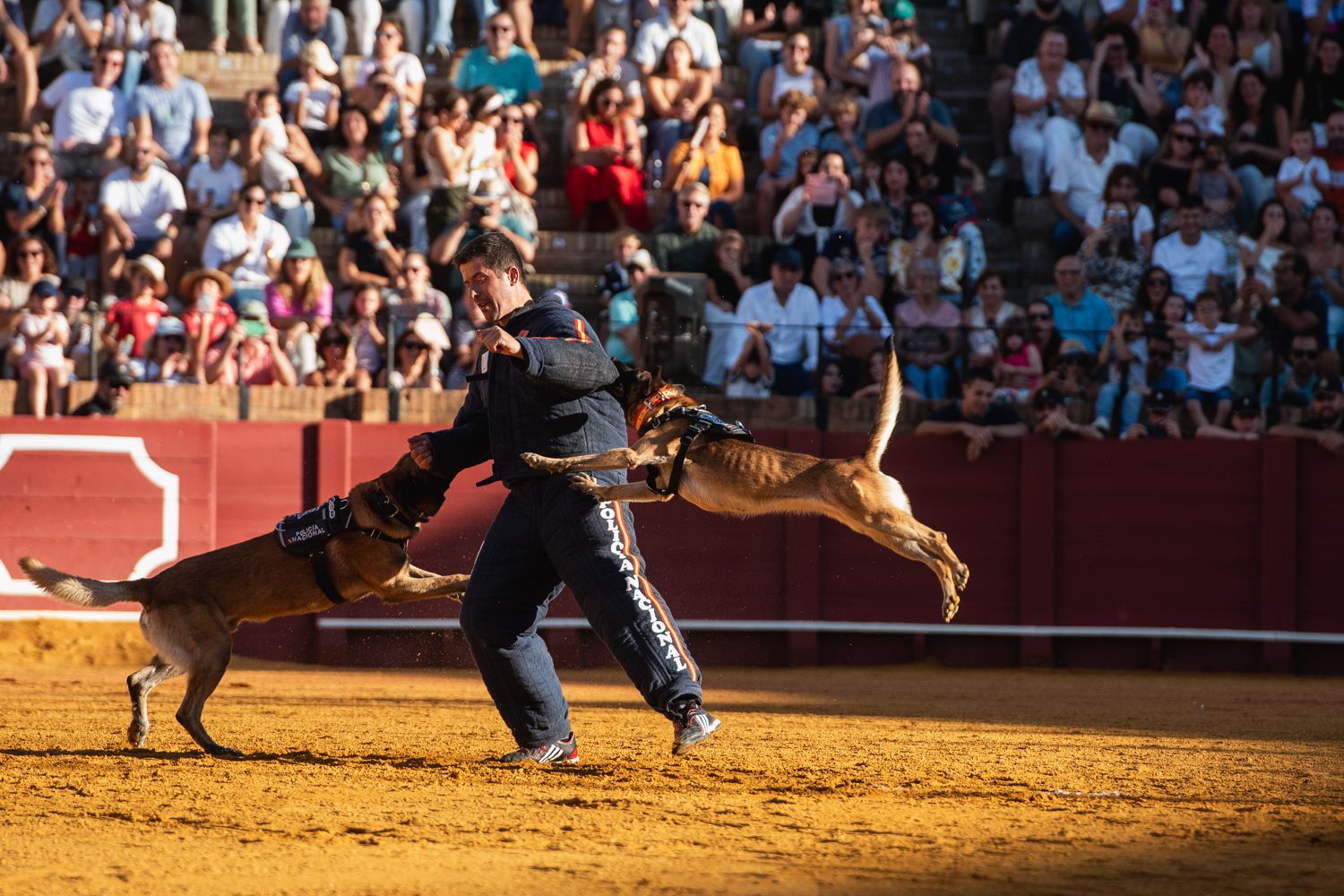 Demostración de operativas de la Policía Nacional en la Maestranza de Sevilla