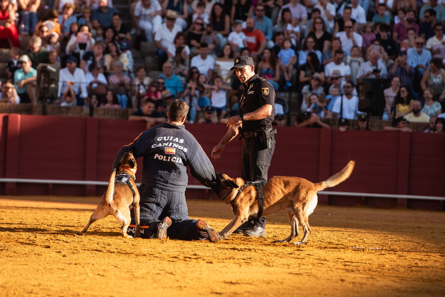 Demostración de operativas de la Policía Nacional en la Maestranza de Sevilla