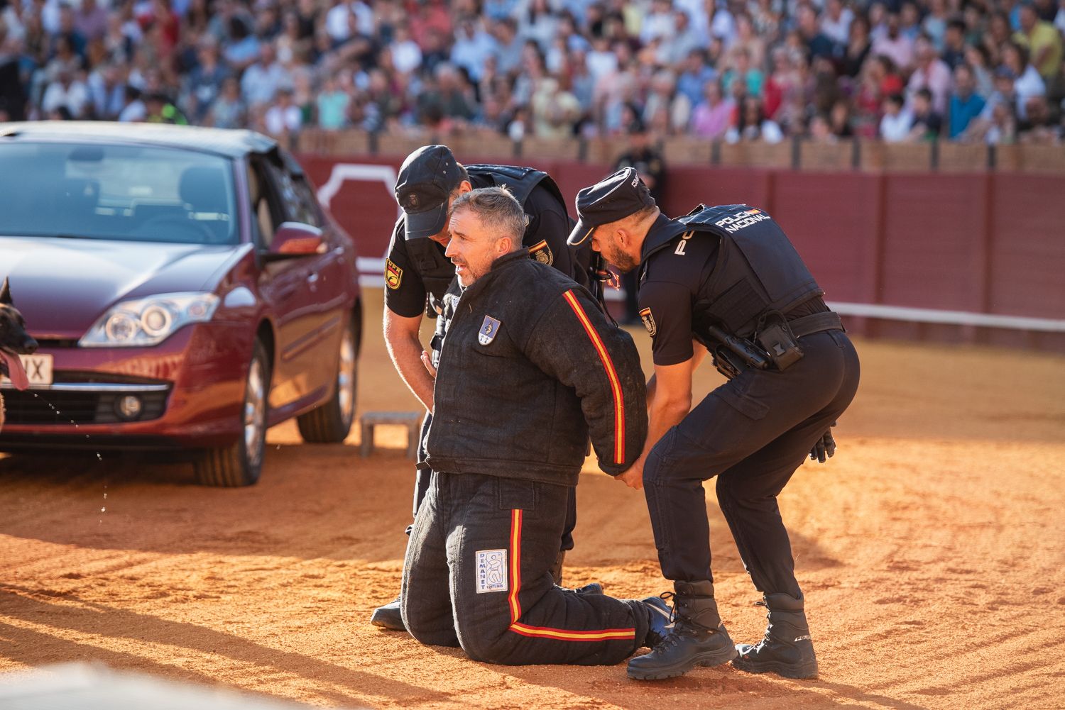 Demostración de operativas de la Policía Nacional en la Maestranza de Sevilla