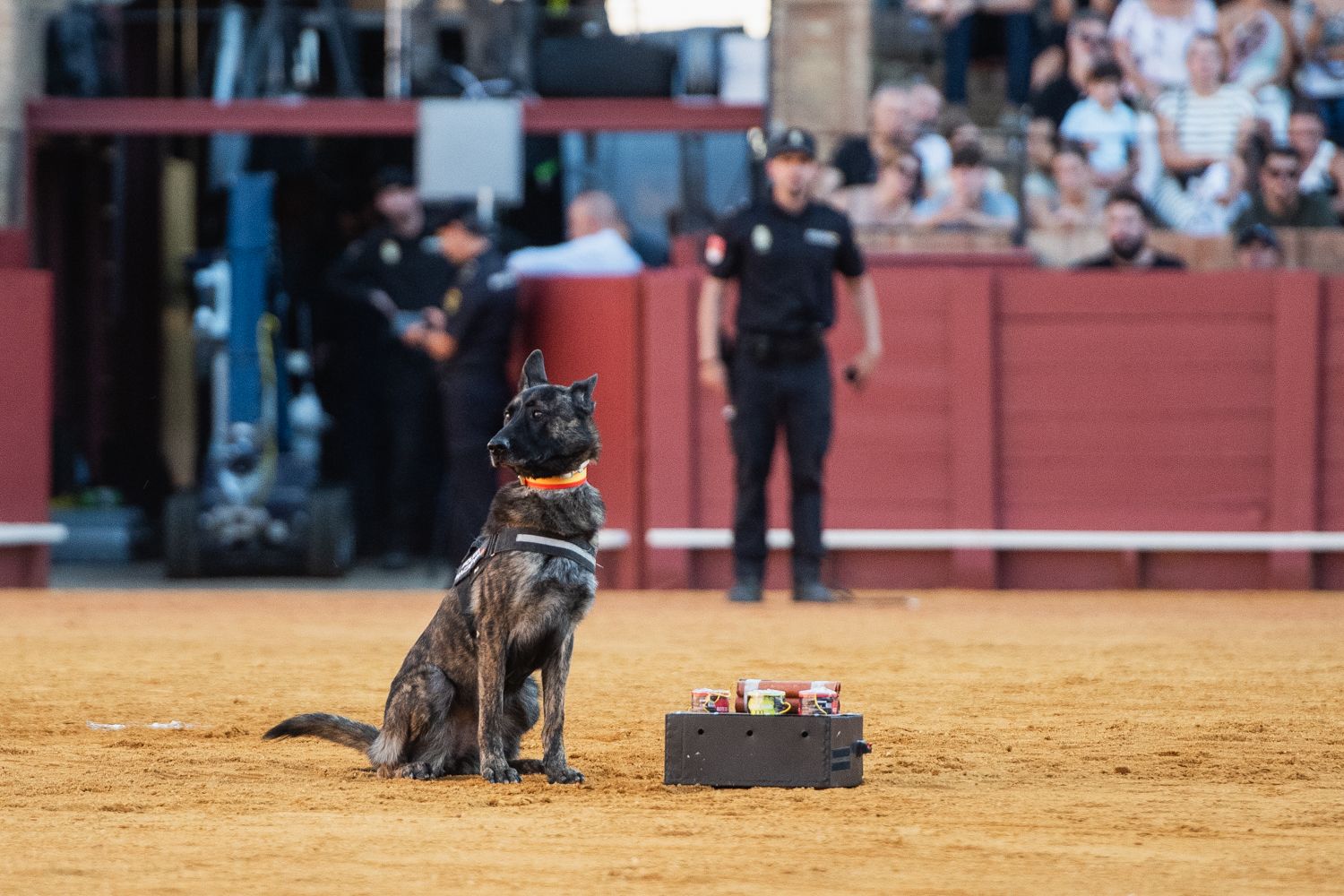 Demostración de operativas de la Policía Nacional en la Maestranza de Sevilla