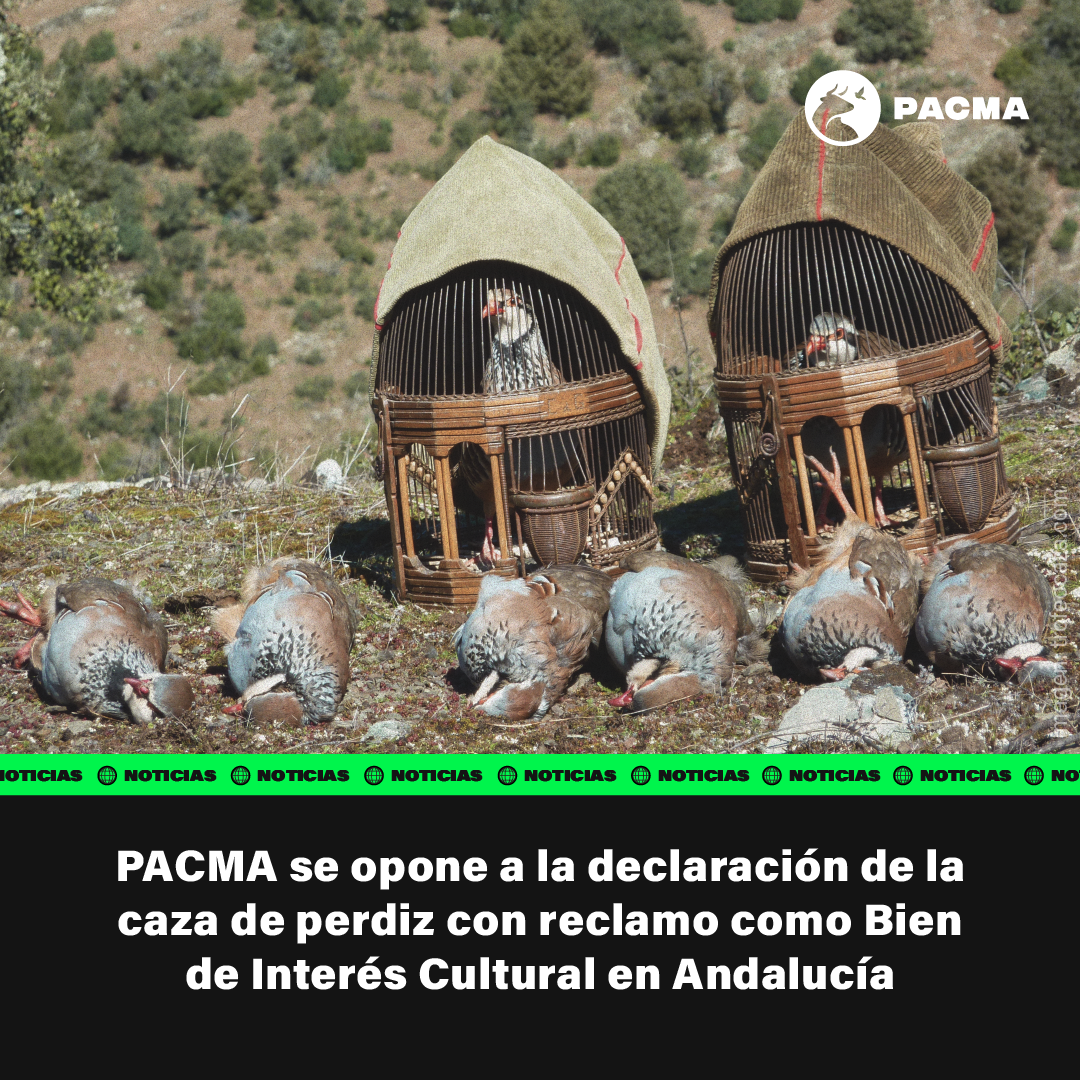 Foto denuncia de Pacma sobre la caza de la perdiz.