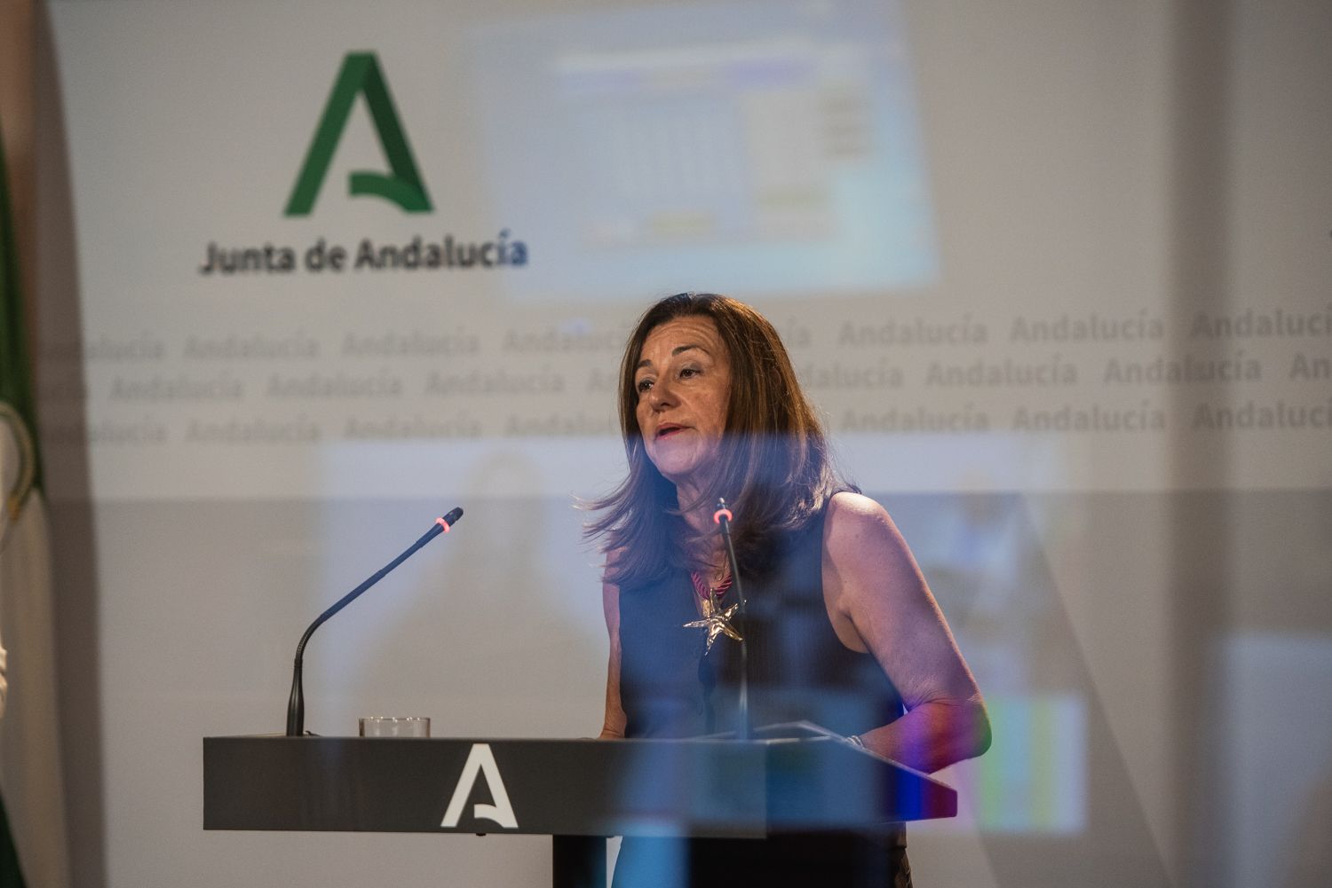 La consejera de Educación, María del Carmen Castillo, en una rueda de prensa este pasado lunes.