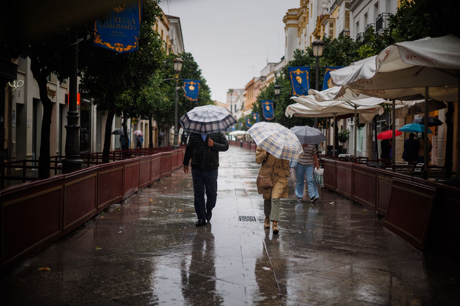 Imagen de uno de los últimos días de lluvia en Jerez.