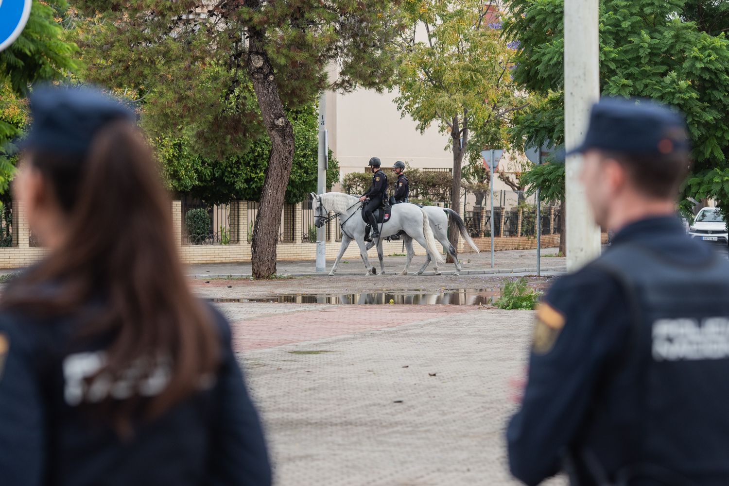 El operativo policial en el Polígono Sur de Sevilla, en imágenes.