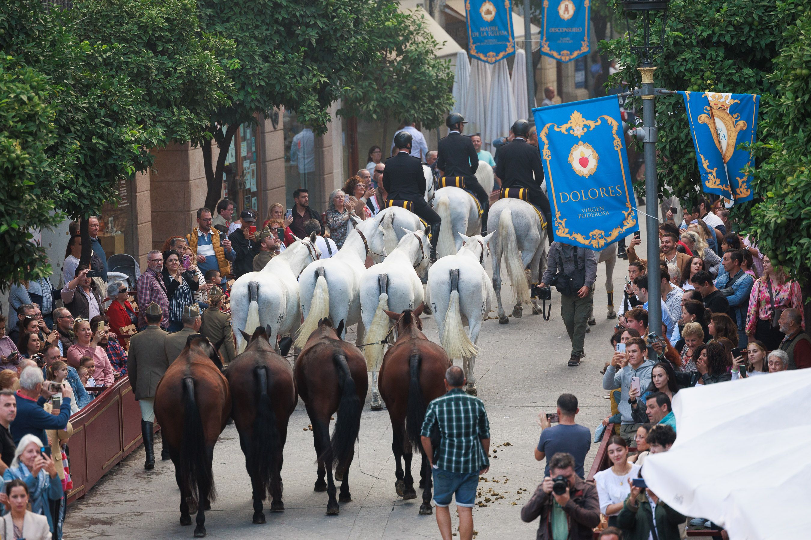 Así ha sido el desfile ecuestre por el centro de Jerez