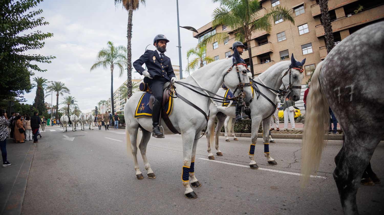 Así ha sido el desfile ecuestre por el centro de Jerez