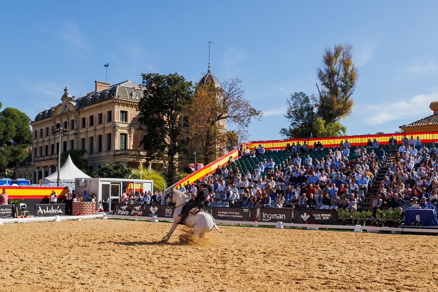 Una mañana de sábado en el concurso nacional de doma vaquera