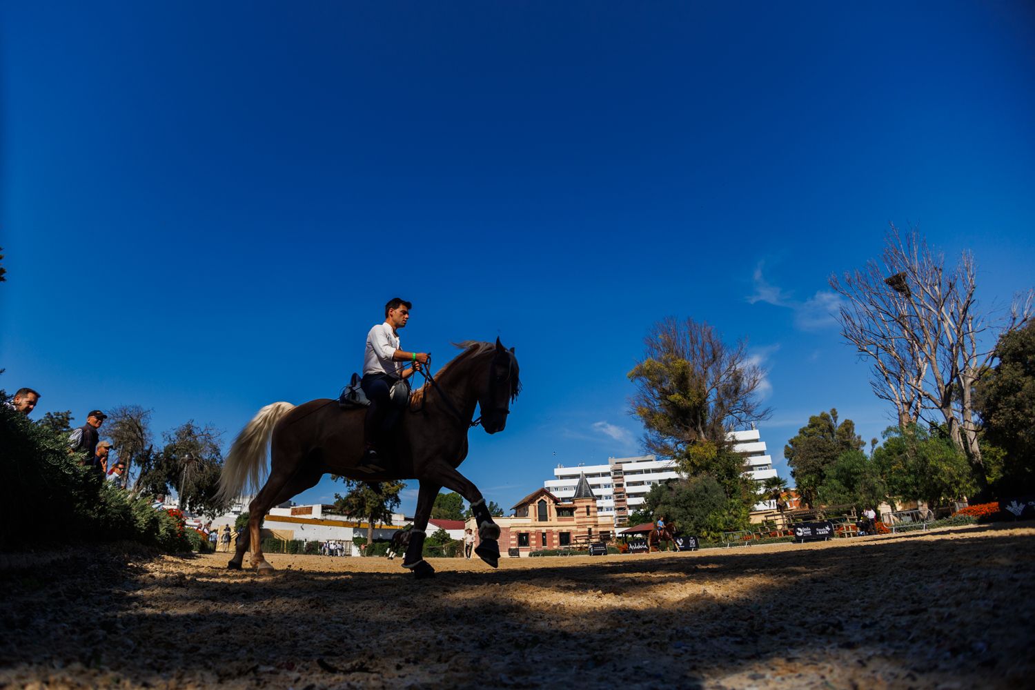 Una mañana de sábado en el concurso nacional de doma vaquera
