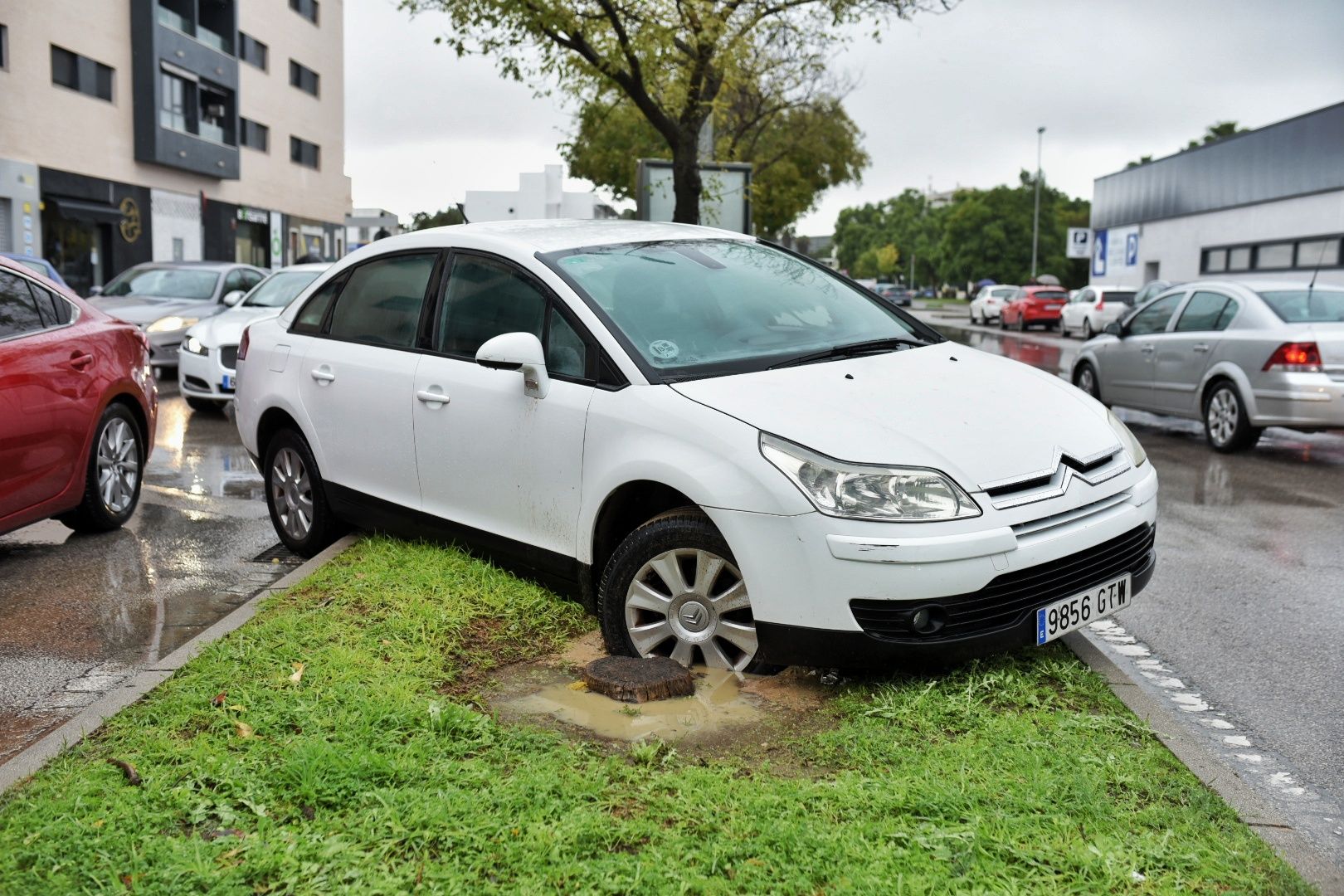 Los barrios de Jerez sufren inundaciones tras más de 50 litros por metro cuadrado en dos horas.