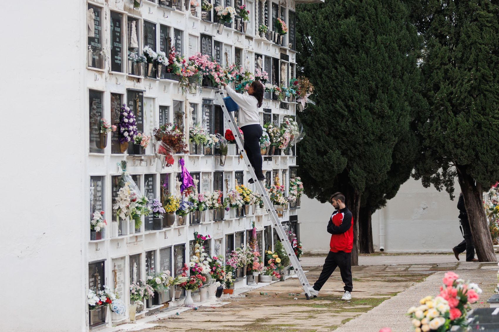 Un inusual Día de Todos los Santos en el cementerio de Jerez