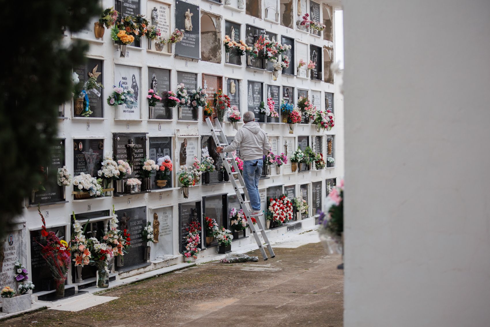 Un inusual Día de Todos los Santos en el cementerio de Jerez