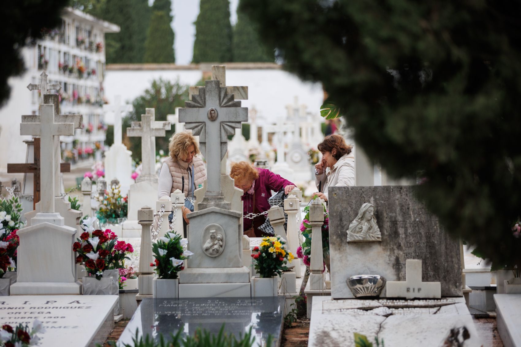 Un inusual Día de Todos los Santos en el cementerio de Jerez