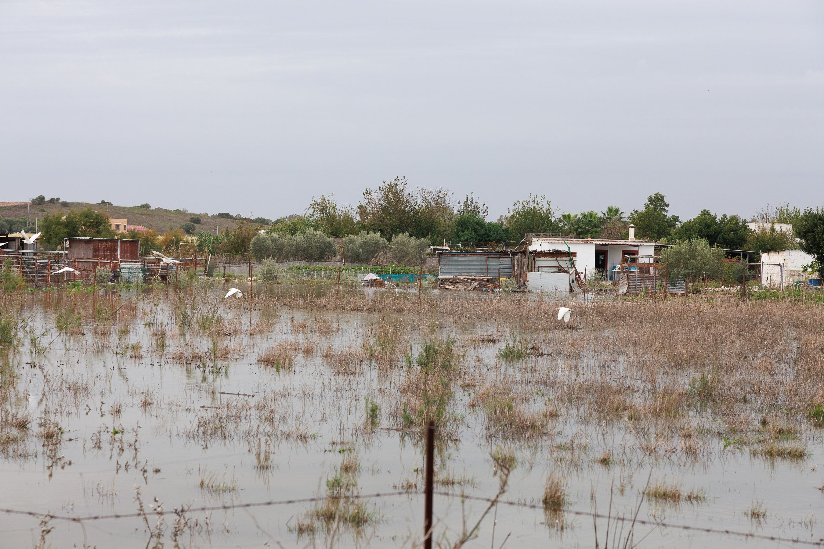 la barriada de las Pachecas por el desborde del Guadalete