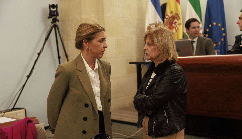 Pleno extraordinario Jerez 11