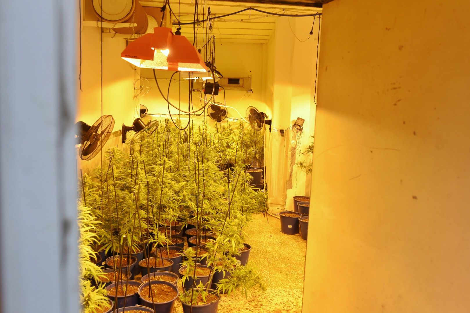 La operación contra la droga en La Bachillera, en la zona Norte de Sevilla.