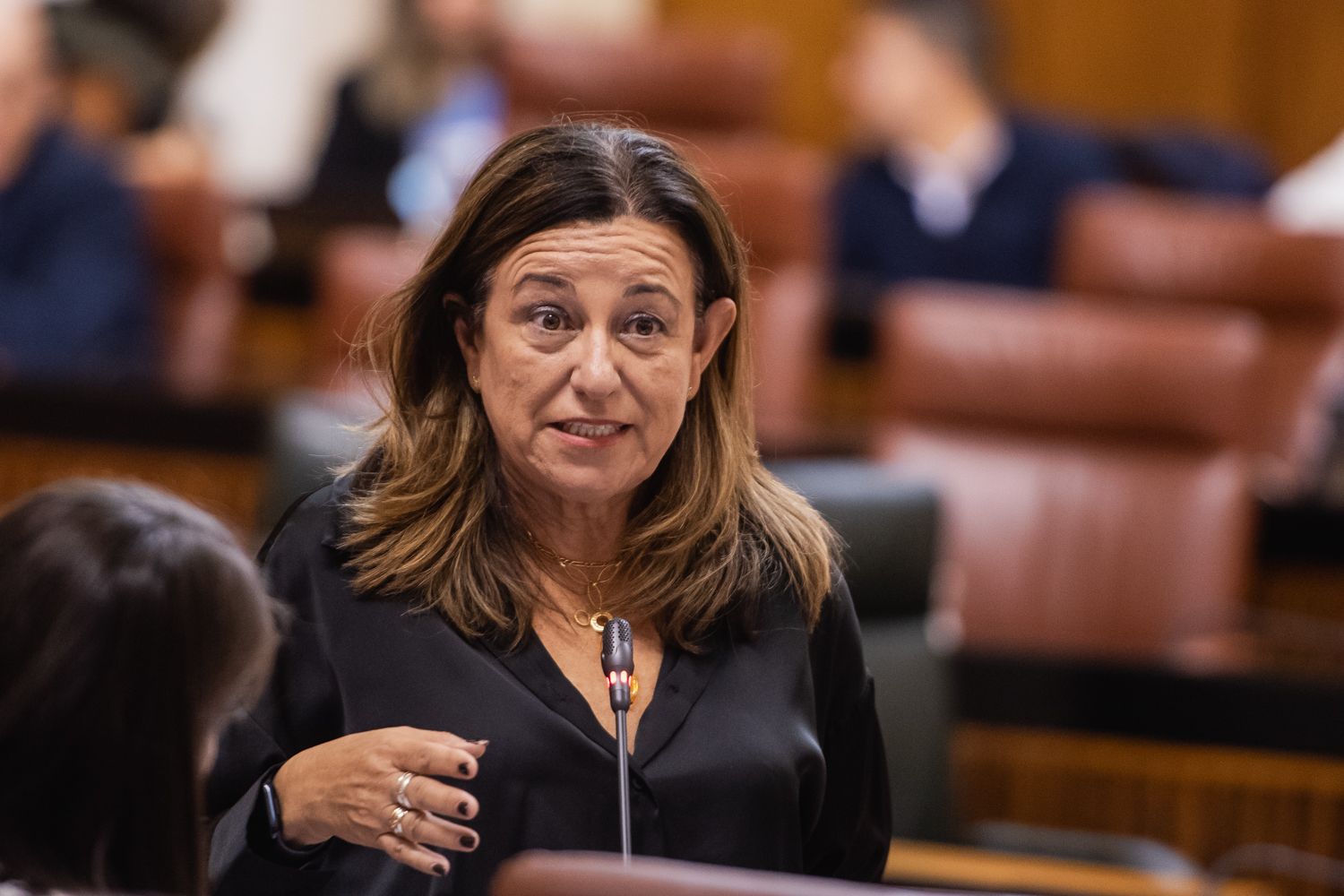 La consejera de Desarrollo Educativo de la Junta, María del Carmen Castillo.