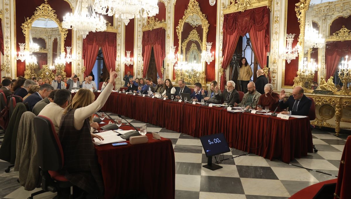 Pleno de la Diputación, contra la violencia de género.