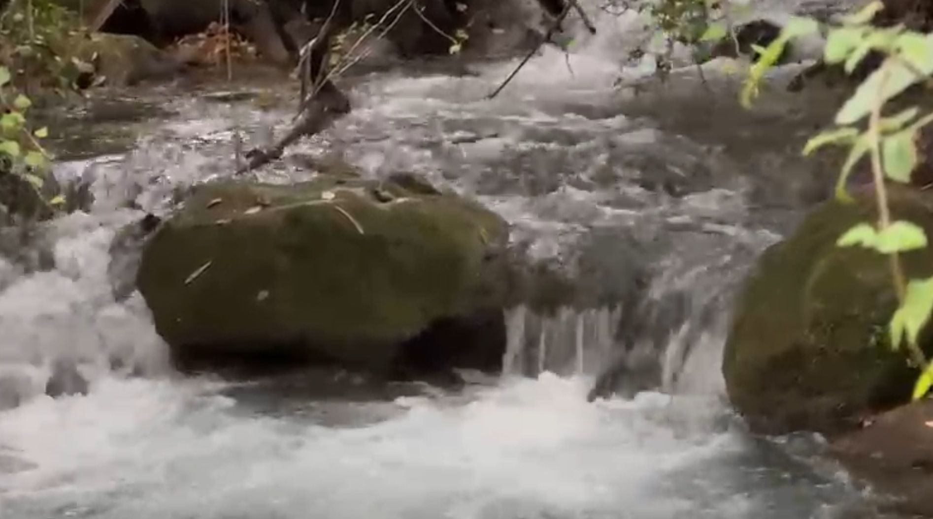 Así baja el río Majaceite tras las últimas lluvias.