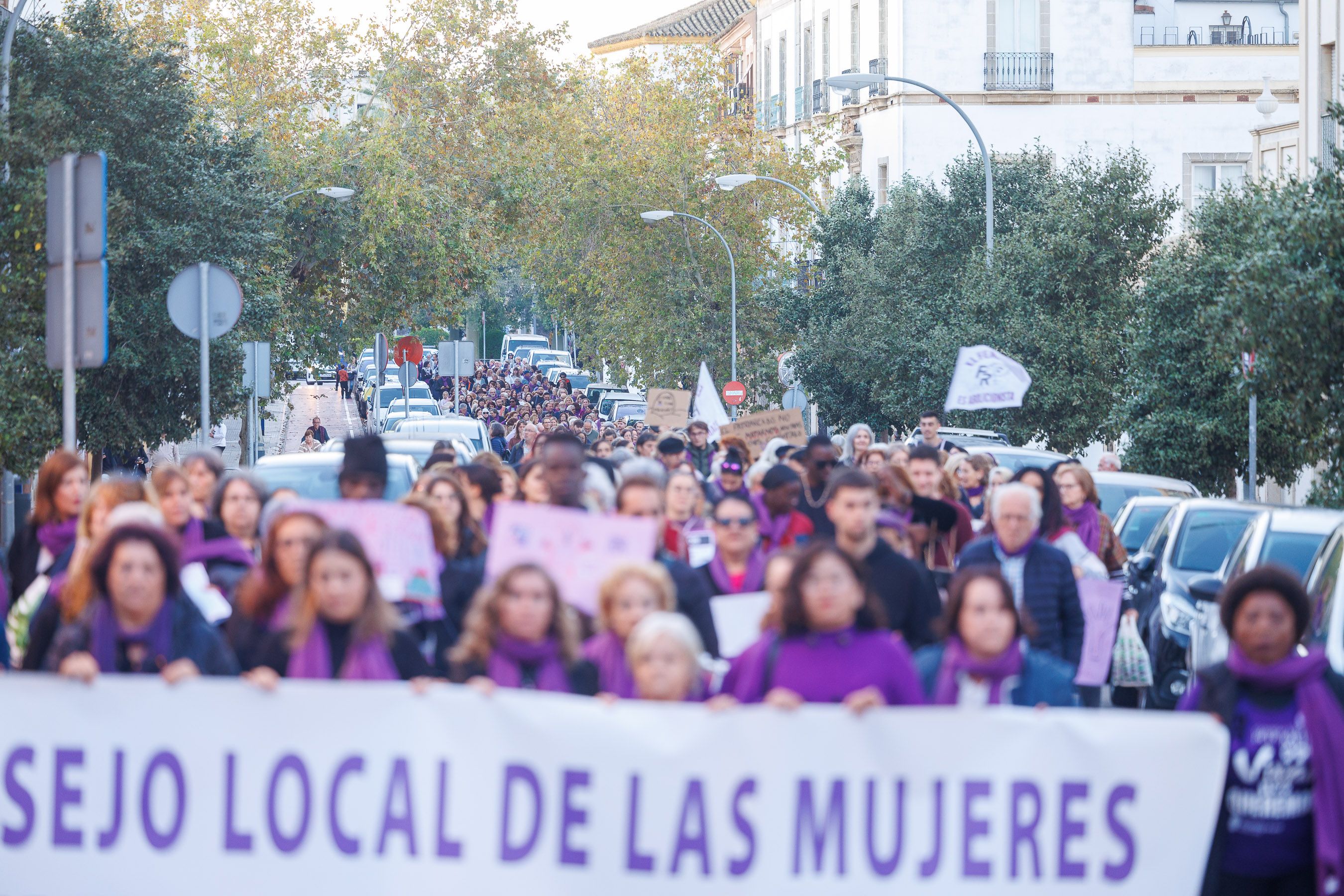 La manifestación por el 25N en Jerez