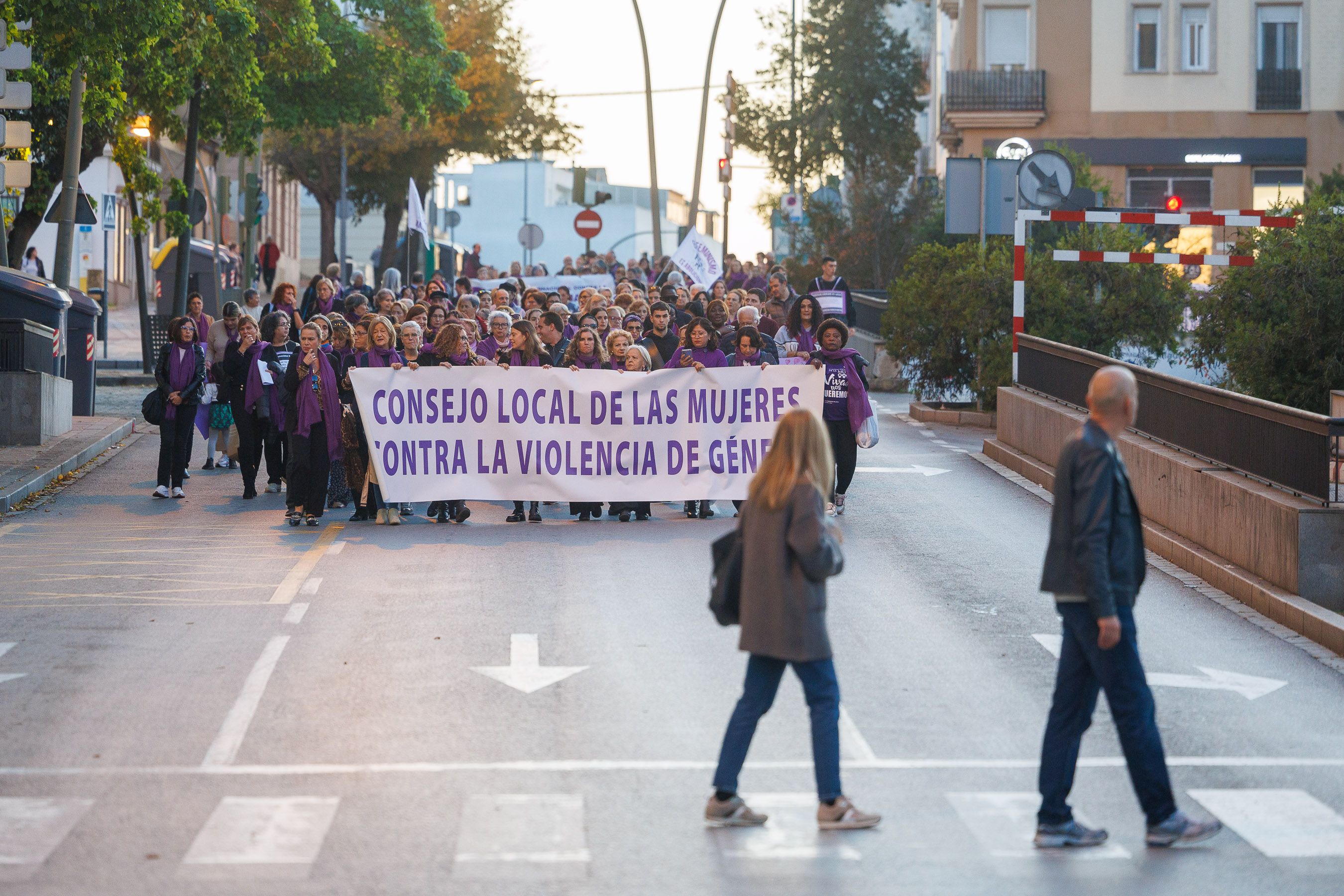La manifestación por el 25N en Jerez