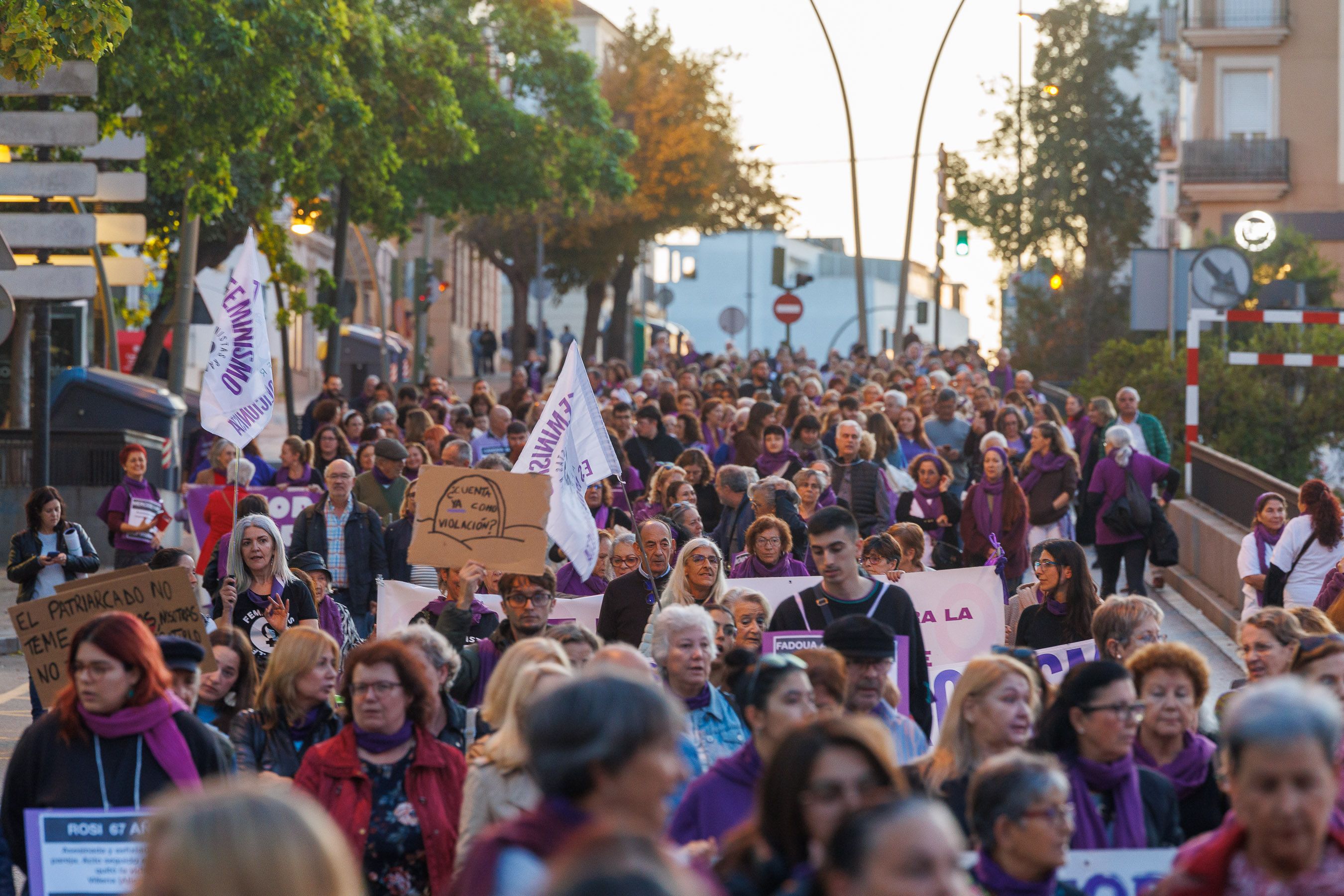 La manifestación por el 25N en Jerez