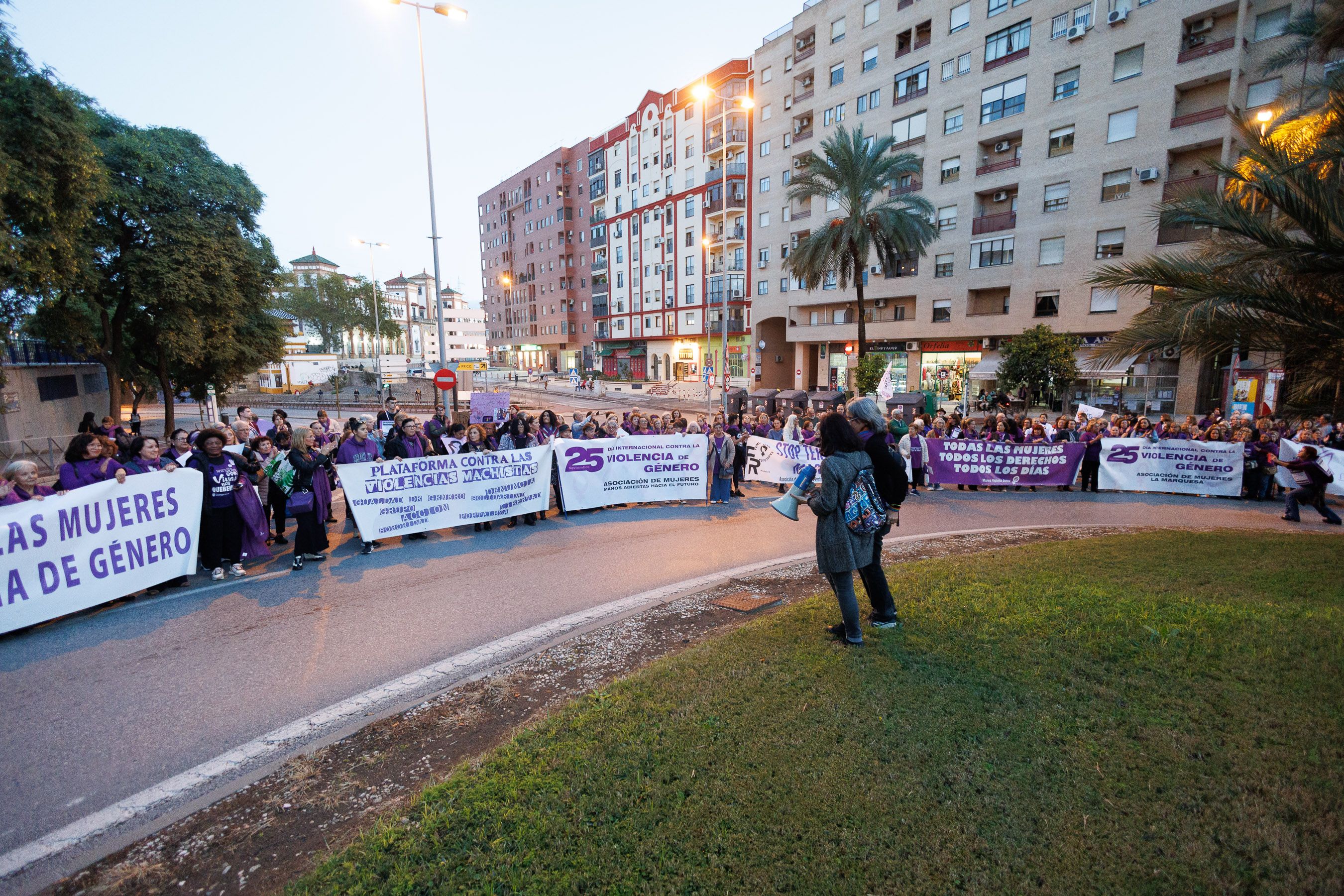 La manifestación por el 25N en Jerez