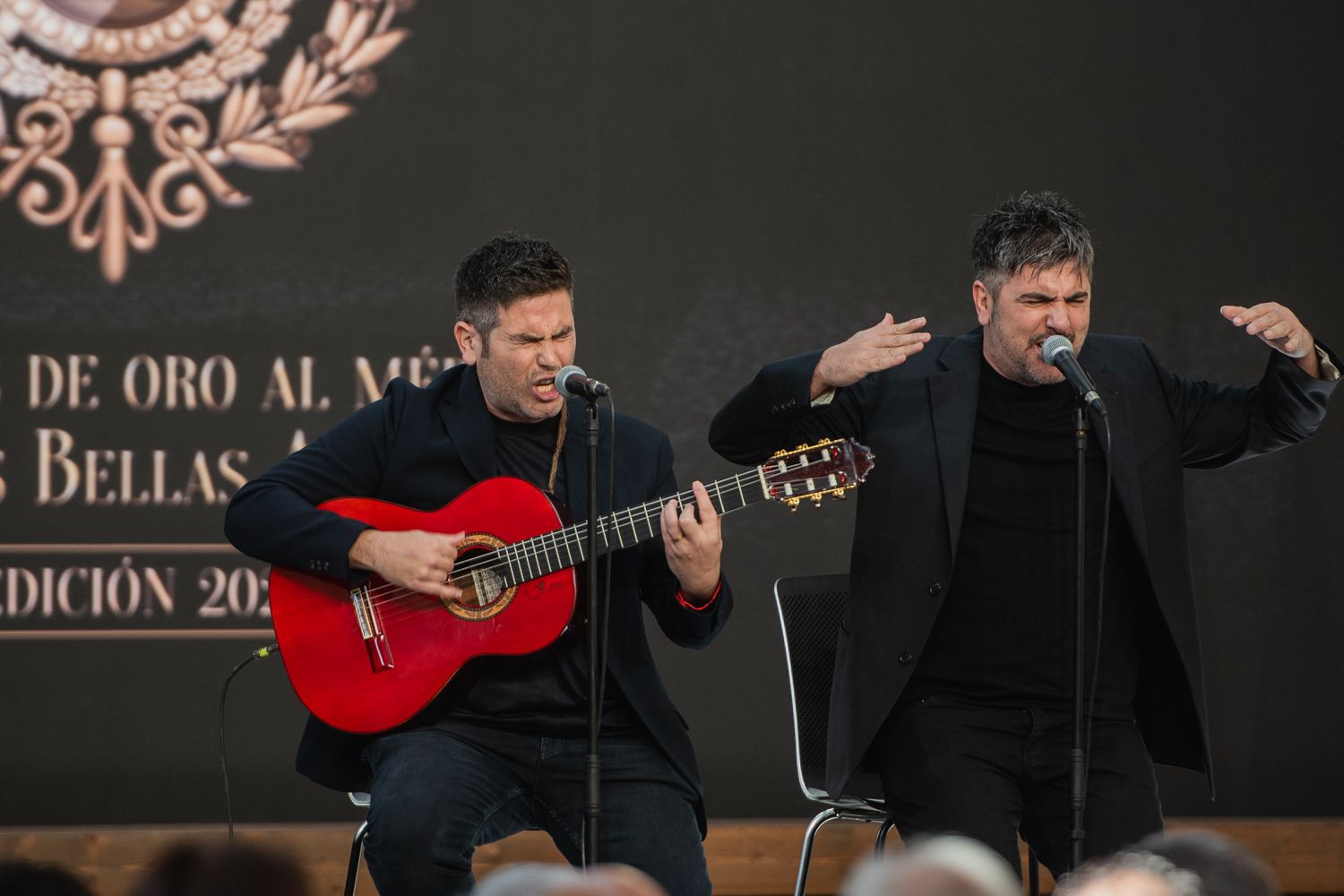 Estopa, galardonados y en directo. 