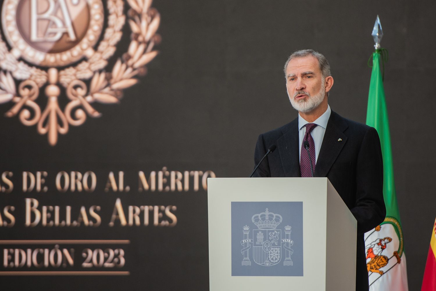 El rey Felipe VI, durante su discurso. 
