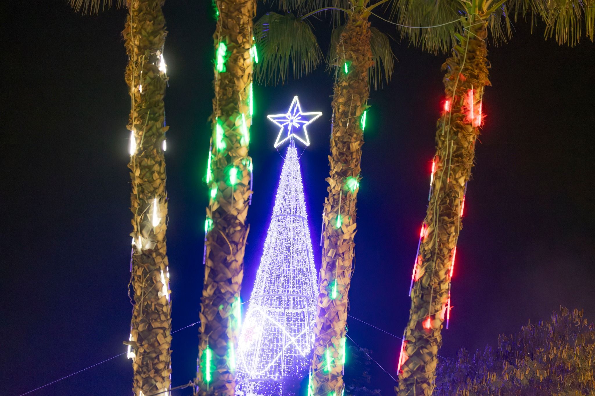 El alumbrado navideño y las actividades para toda la familia en La Rinconada.