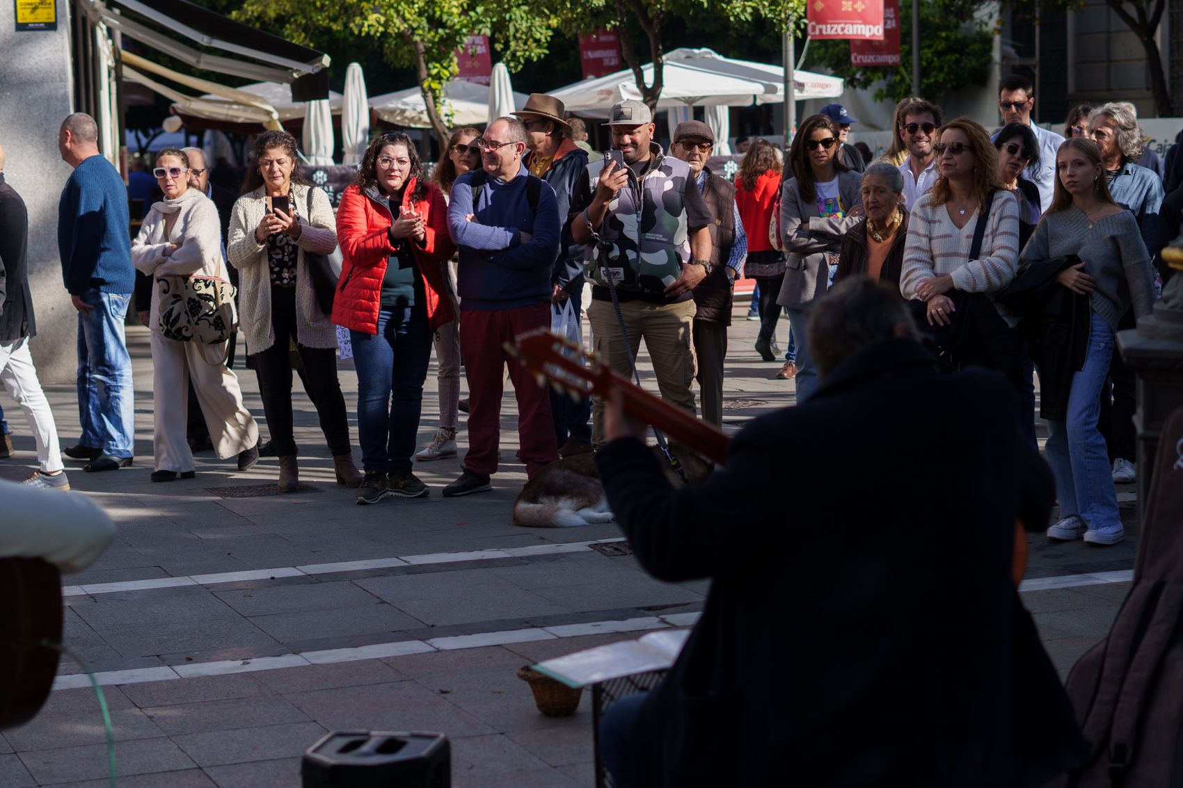 El viernes de Zambombas del Día de la Constitución, en imágenes.