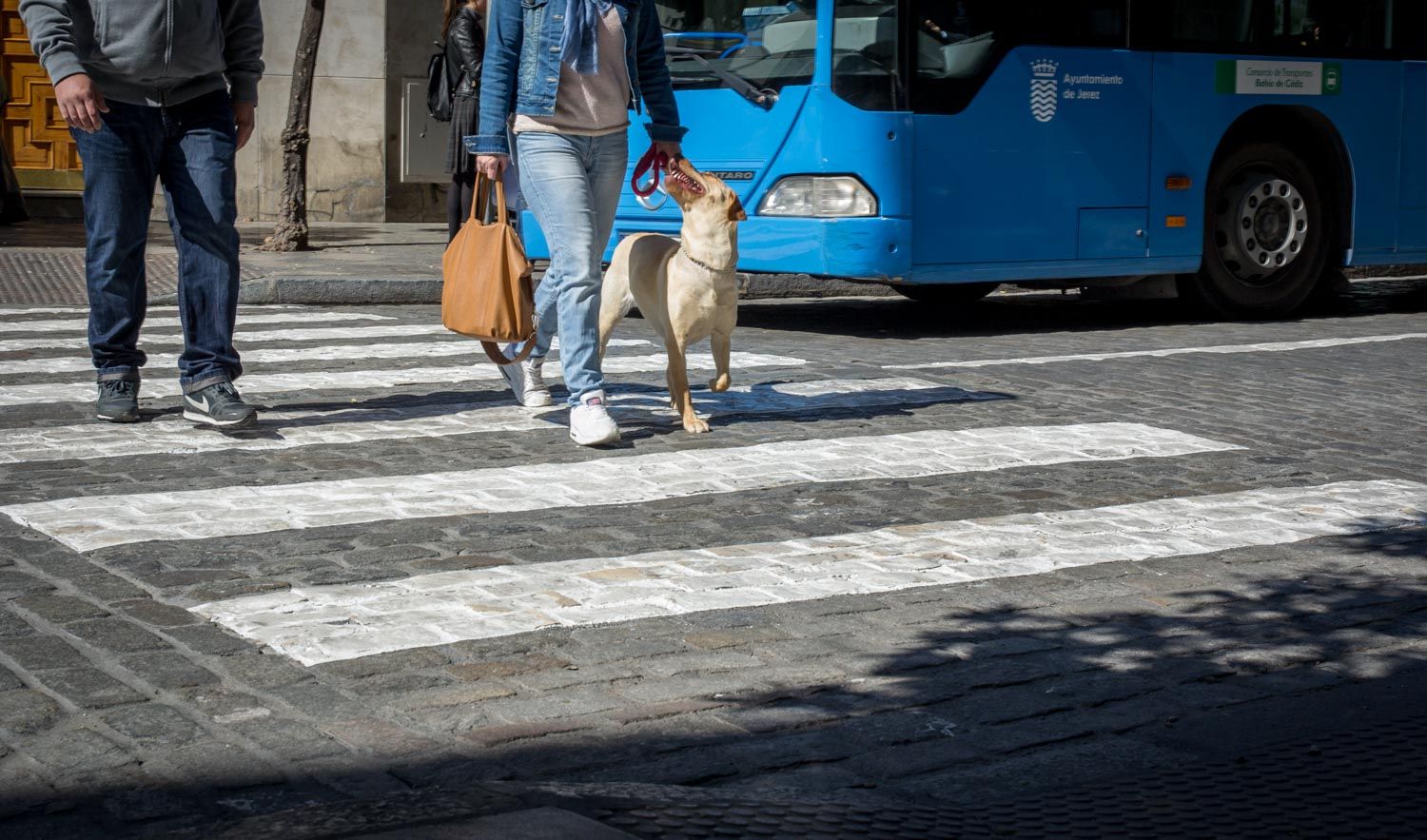 Paso de peatones, en una imagen de archivo.