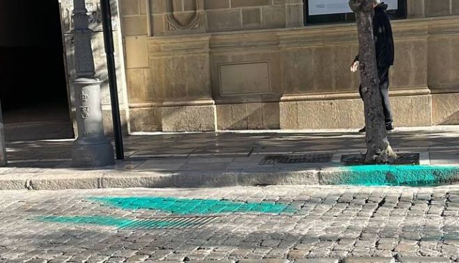 photo 5981295564240832573 y (1)