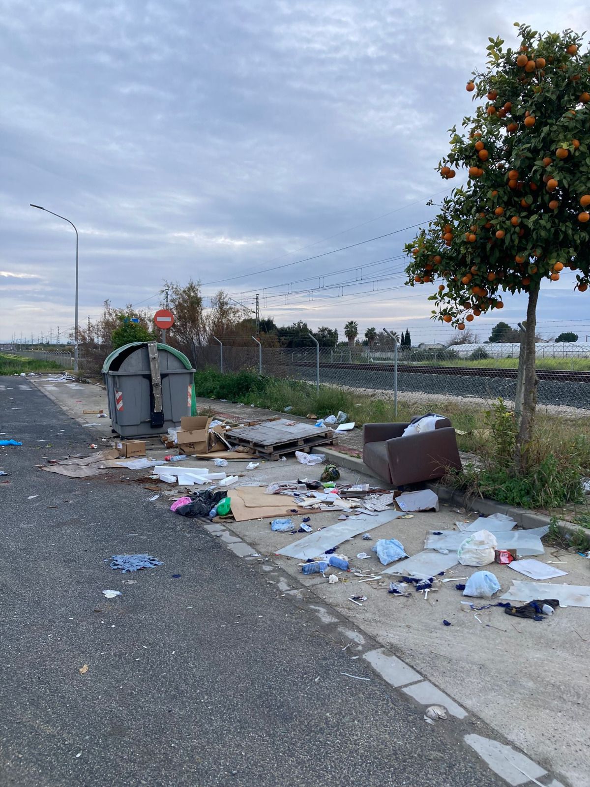 WhatsApp Image 2024 12 17 at 11.57.25