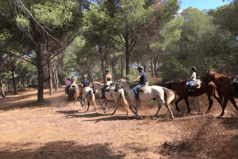 Planazo para este fin de semana de Navidad en Jerez: paseo a caballo por un parque periurbano.
