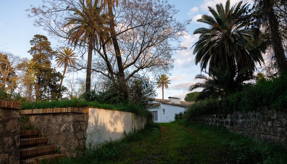 ALtillo universo Santi  8