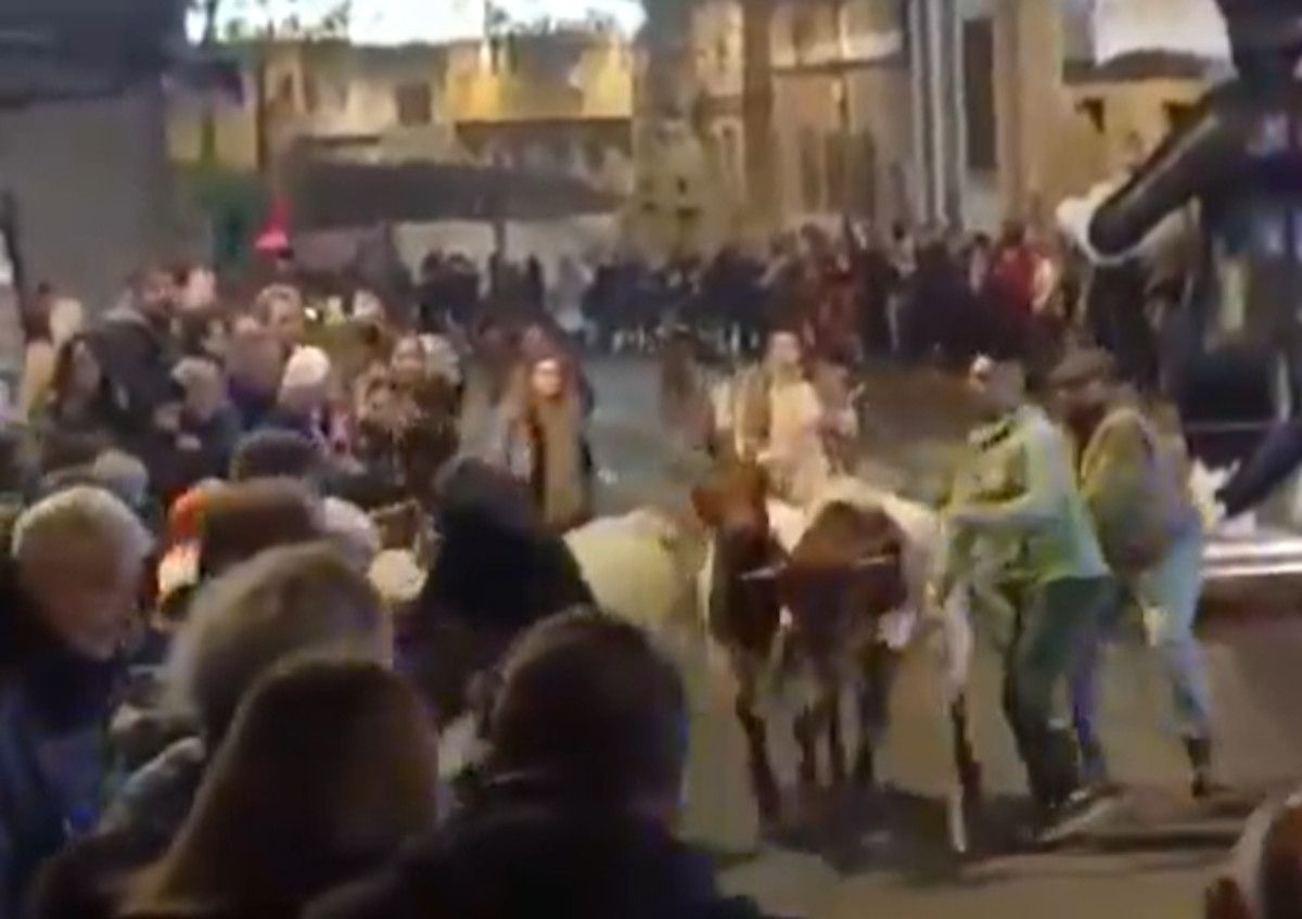 Estampida en plena Cabalgata de Reyes de Arenas de San Pedro, en Ávila.