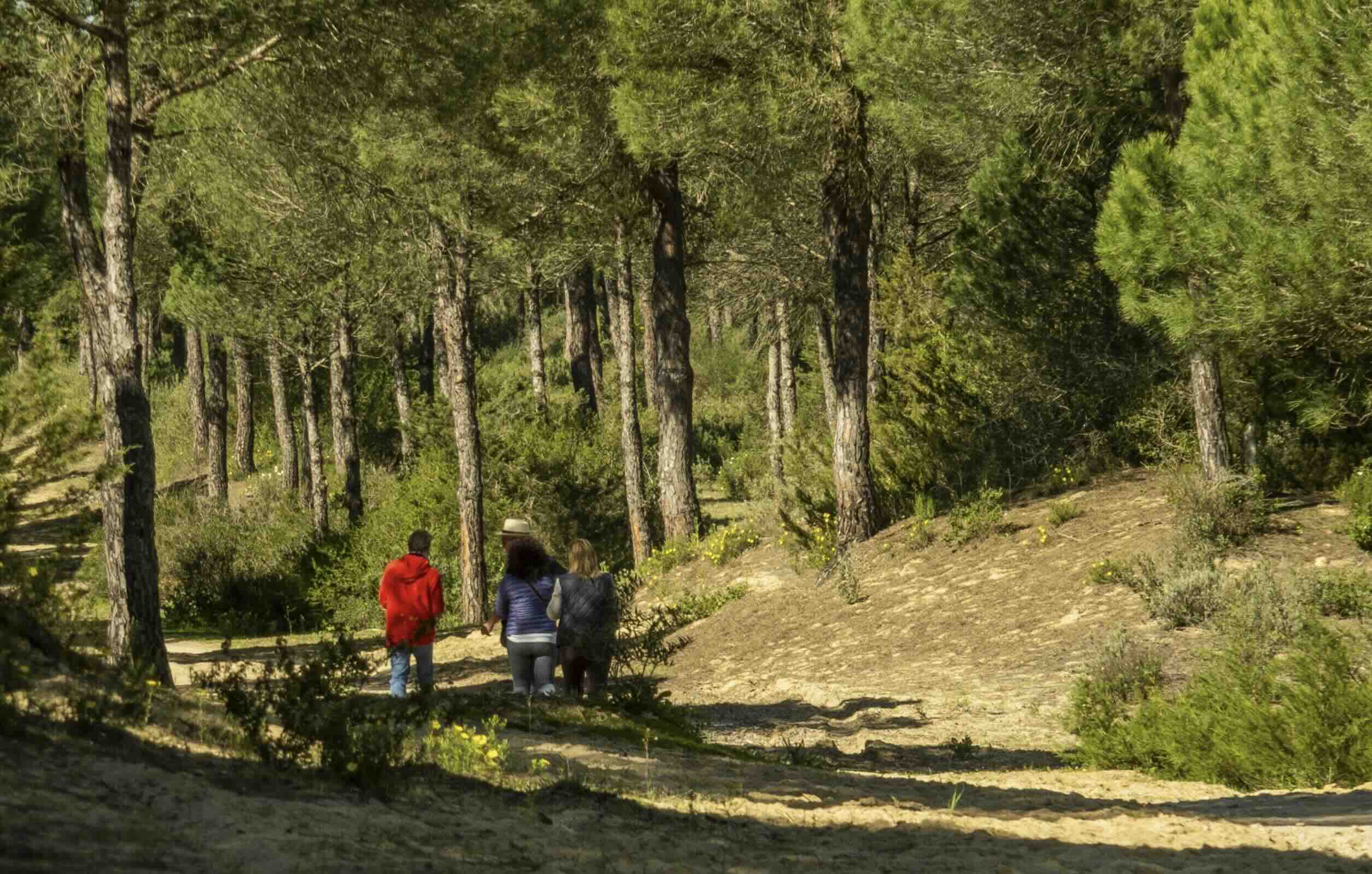 Imagen del sendero Cerro del Águila, en Sanlúcar, por el espacio natural de Doñana, en una imagen de archivo.