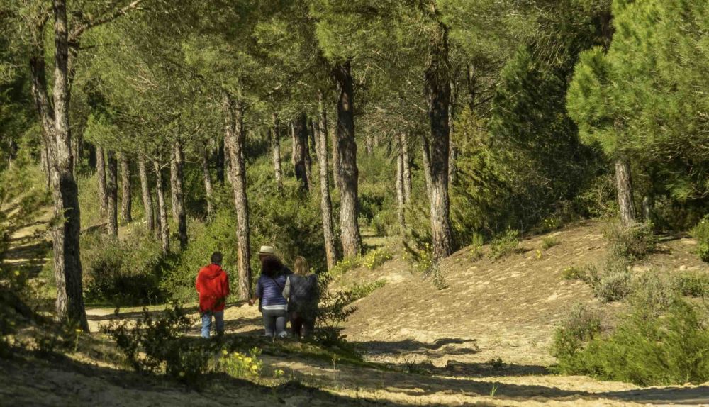 Imagen del sendero Cerro del Águila, en Sanlúcar, por el espacio natural de Doñana, en una imagen de archivo.