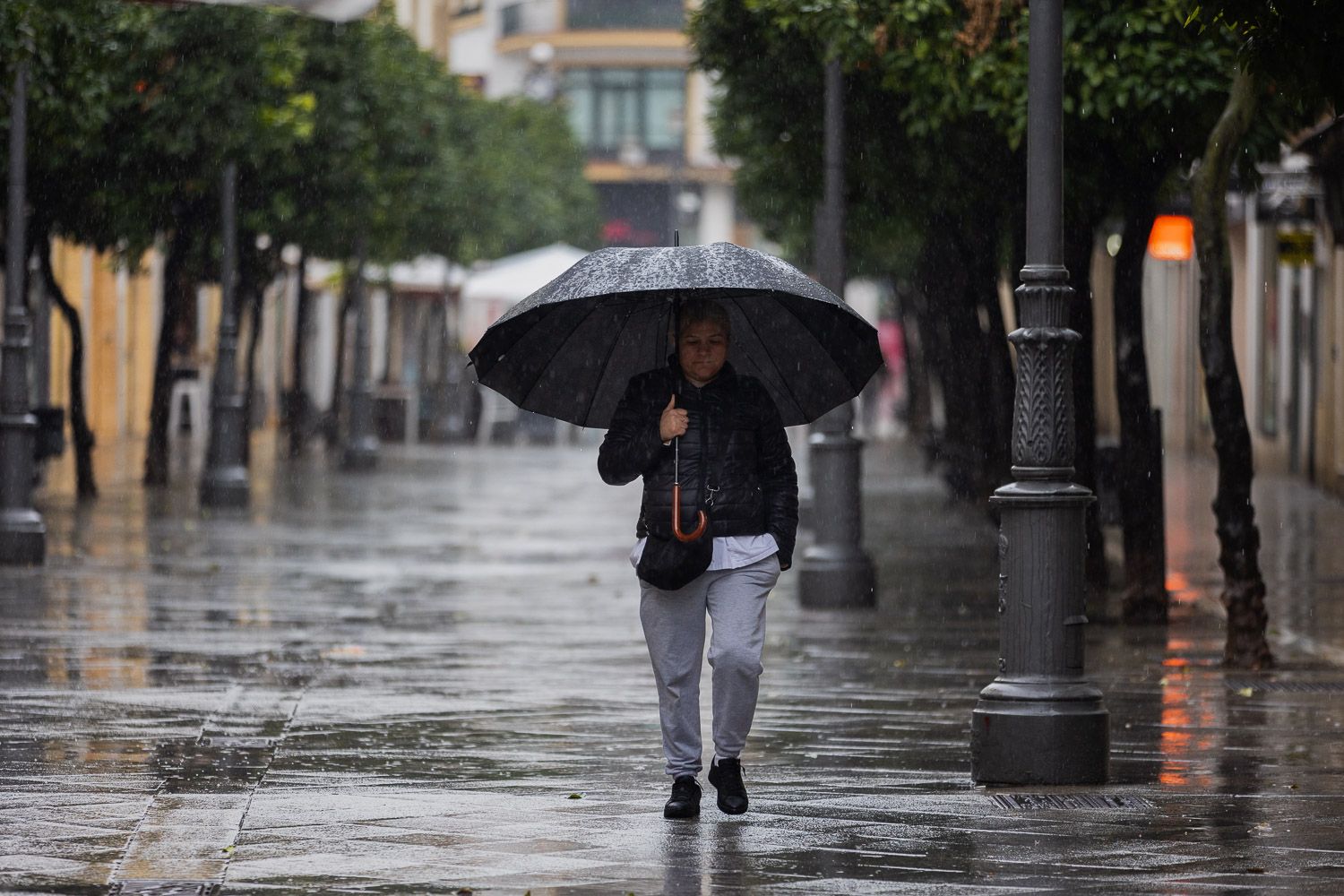 Un día de lluvia en Jerez.