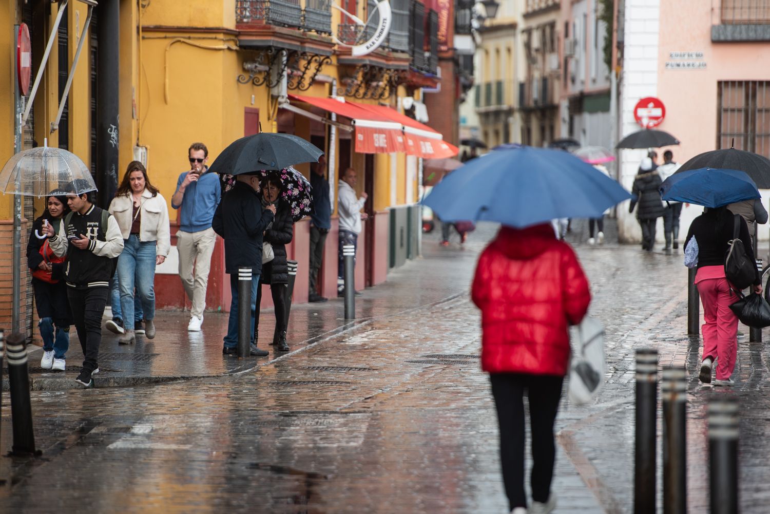 Lluvia en Sevilla este miércoles.