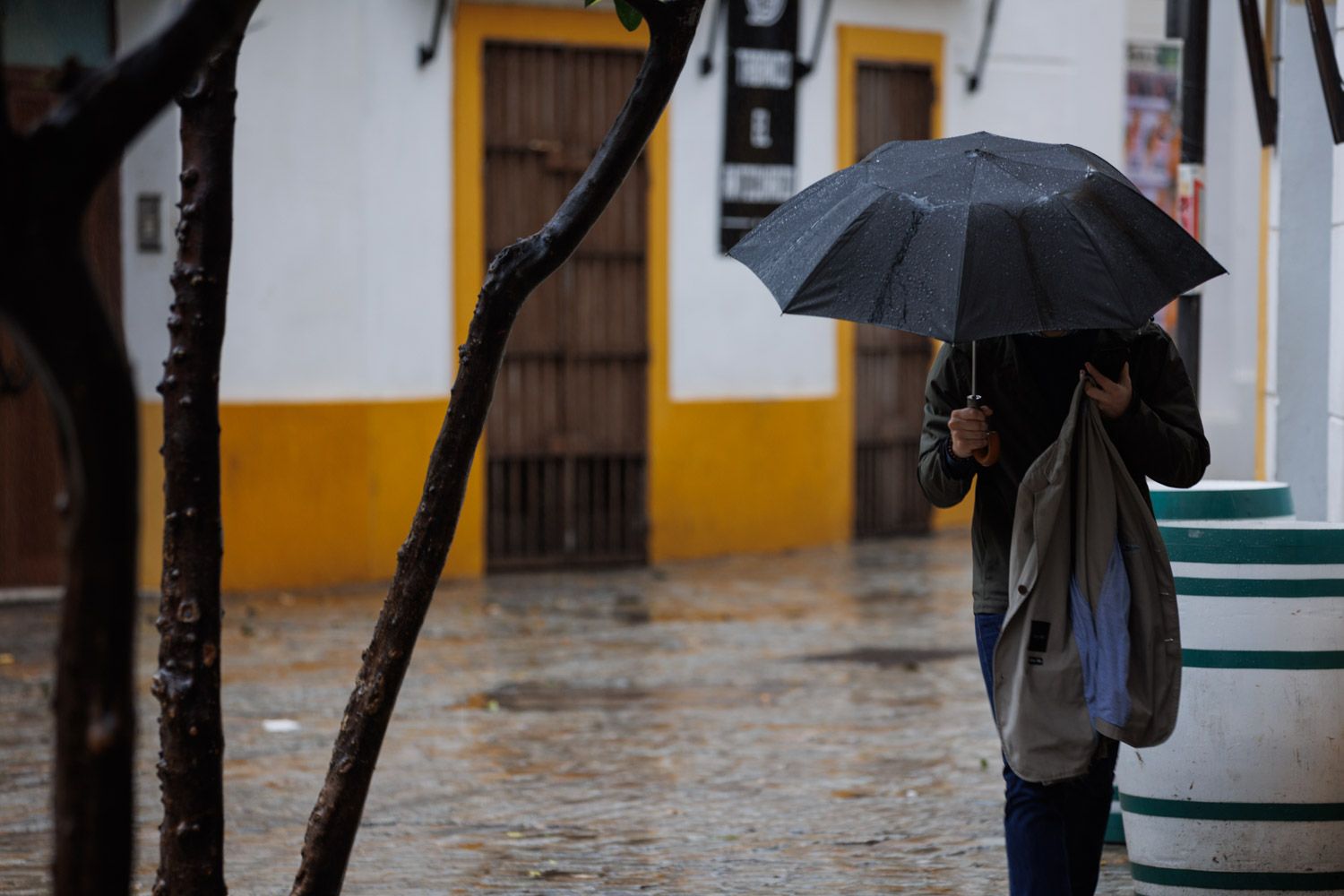 Un día de lluvia en enero.