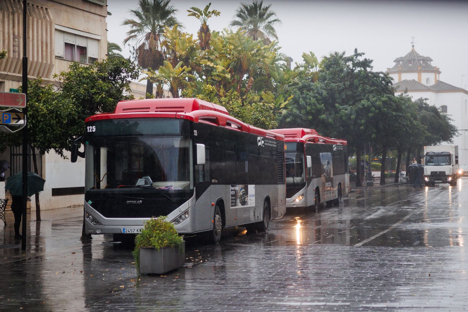 Autobuses urbanos en Jerez.