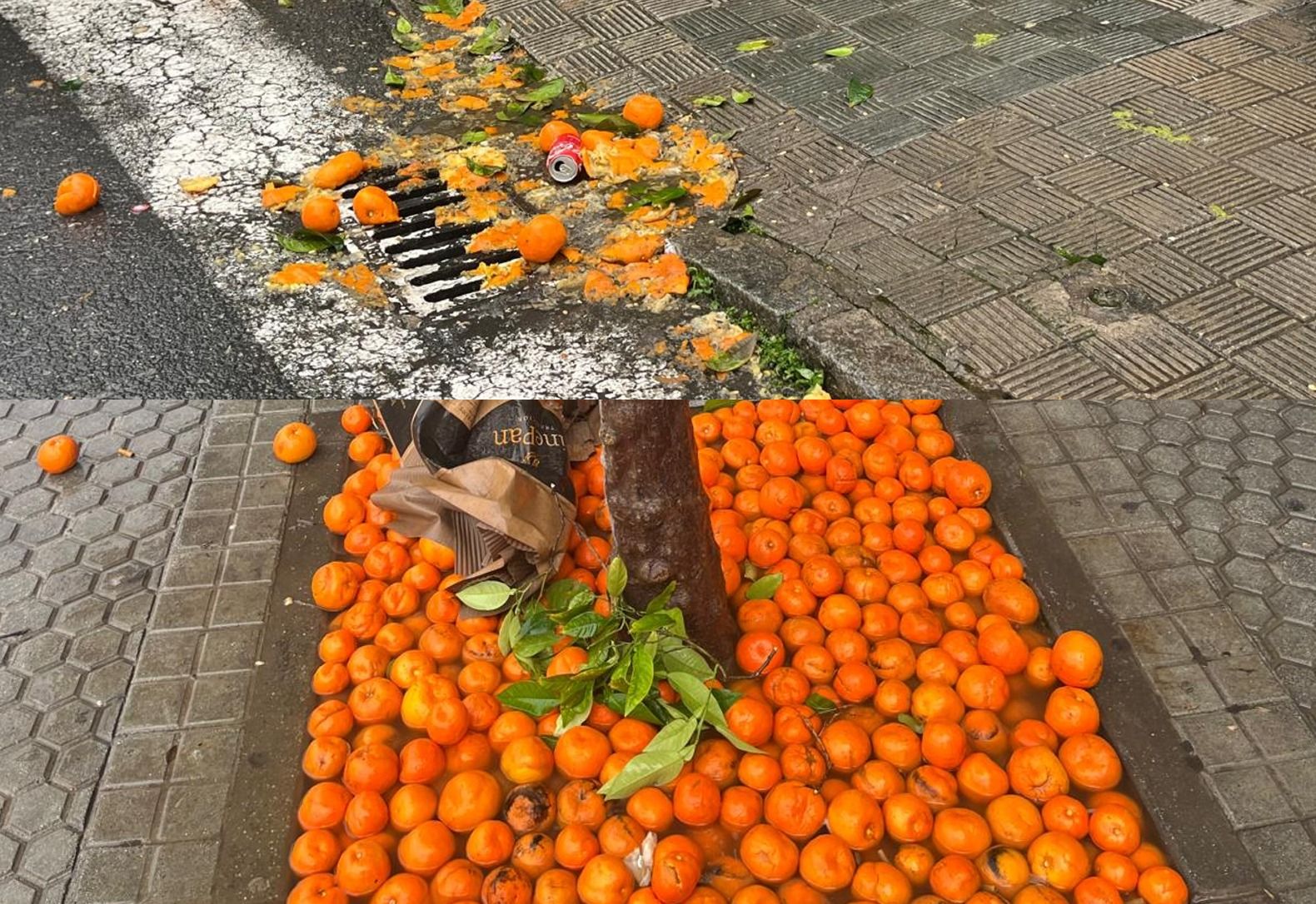 Naranjas por las calles de Sevilla, durante las lluvias.