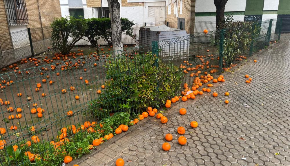 WhatsApp Image 2025 01 27 at 14.01.19 (1)