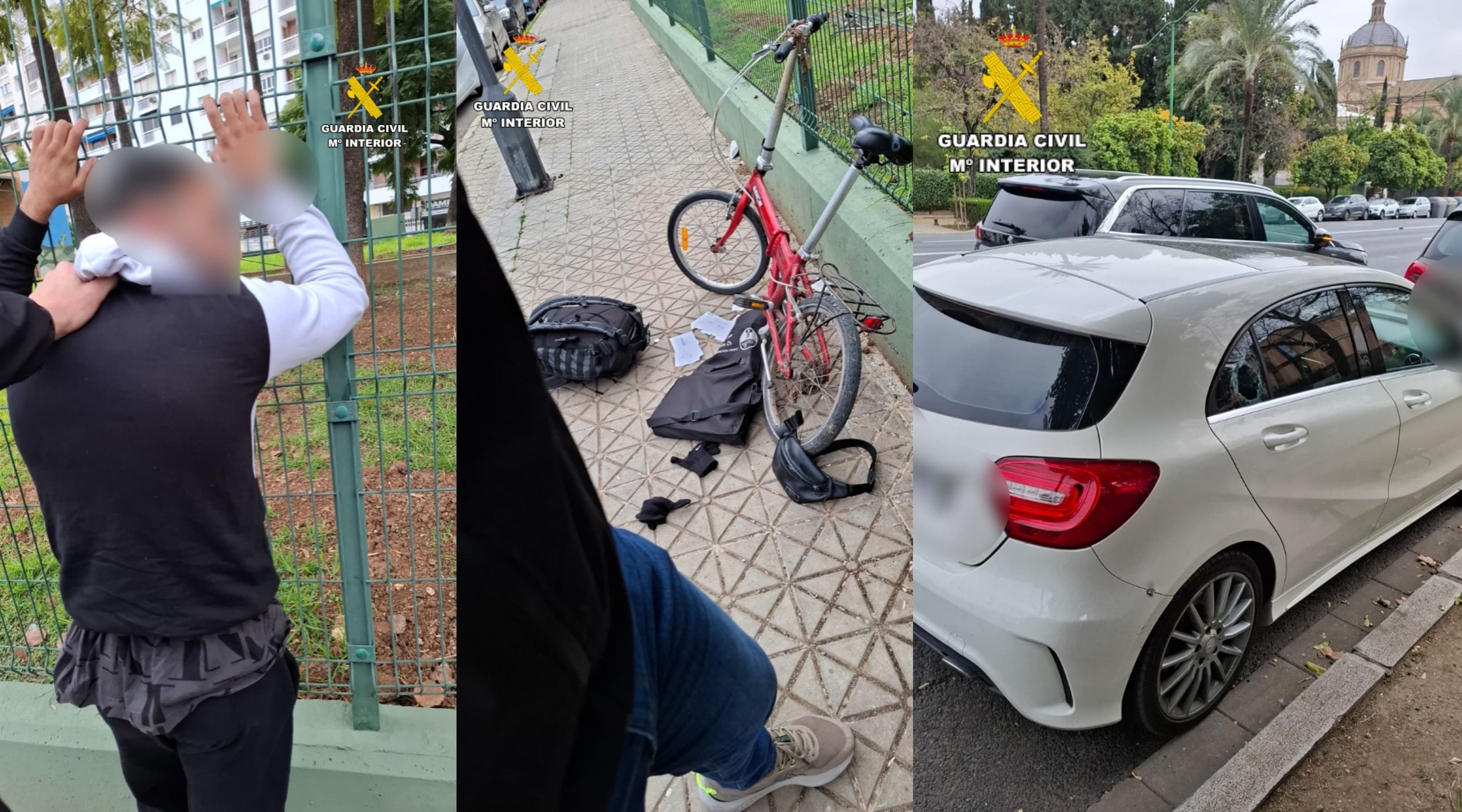 La detención por parte de un agente de la Guardia Civil en la Palmera.