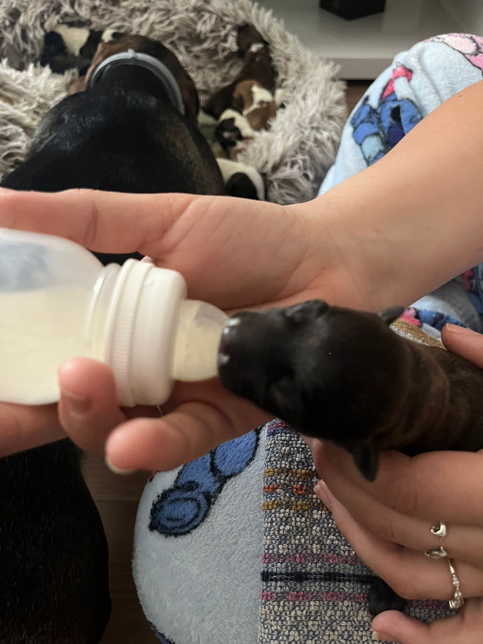 WhatsApp Image 2025 01 29 at 14.20.56 (1)